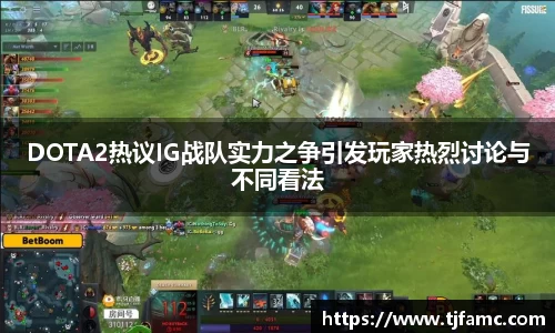 DOTA2热议IG战队实力之争引发玩家热烈讨论与不同看法